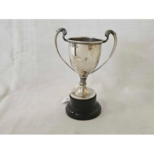 657 - SMALL SILVER TROPHY CUP ON BASE