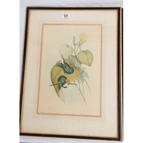 511 - PAIR OF ANTIQUE COLOURED LITHOGRAPHS OF BIRDS WITH FRAMING LABELS FOR KENSINGTON & CHELSEA, 20 X 15'... 