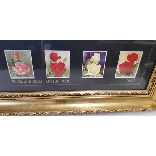 526 - FULL SET OF LARGE FORMAT CIGARETTE CARDS BY WD & HO WILLS, OF ROSES, DATED 1936, 29 X 36''