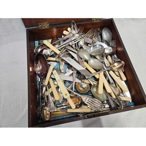 596 - WOODEN BOX WITH CUTLERY