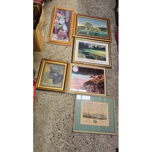 115 - CARTON OF F/G PICTURES, MAINLY ANIMAL RELATED