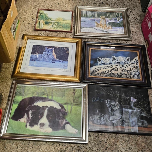 115 - CARTON OF F/G PICTURES, MAINLY ANIMAL RELATED