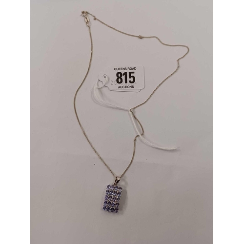 815 - A SILVER MOUNTED PENDANT ON FINE CHAIN