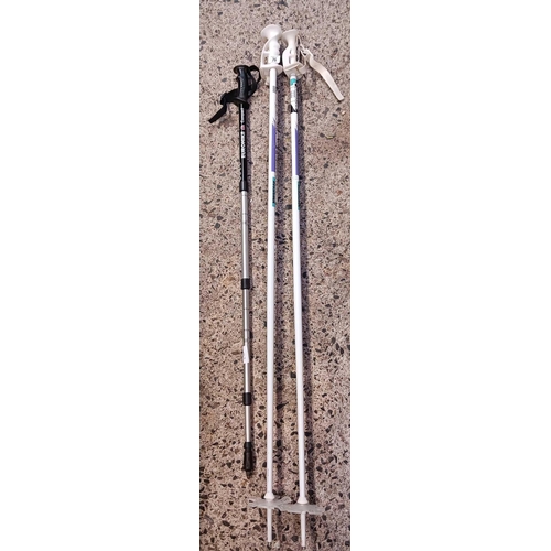 76 - 2 SKI POLES & A METAL HIKING STICK
