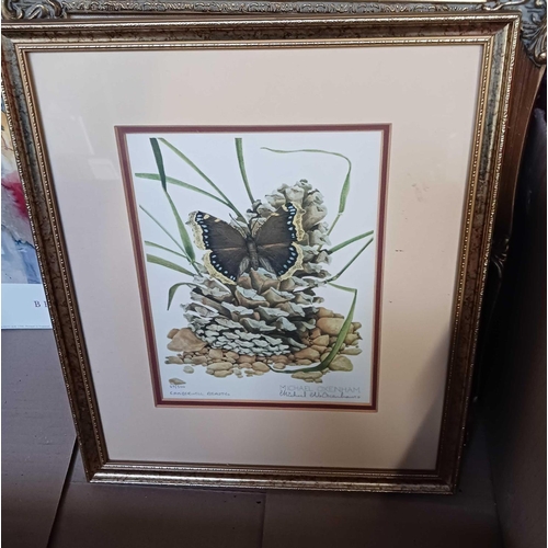 91 - CARTON WITH MISC F/G PICTURES SOME BEING EMBROIDERED