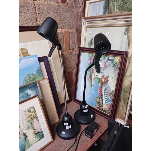 101 - 2 SERIOUS FLEXIBLE READING LIGHTS WITH 2 SPARE BULBS