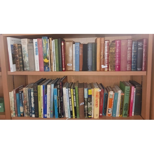 245 - 4 SHELVES OF PAPER BACK & HARDBACK BOOKS