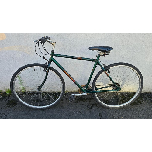 Lot 28        