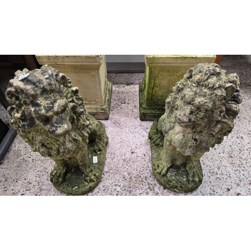 124 - 2 WEATHERED STONE LIONS ON OBLONG BASES APPROX 24'' TALL