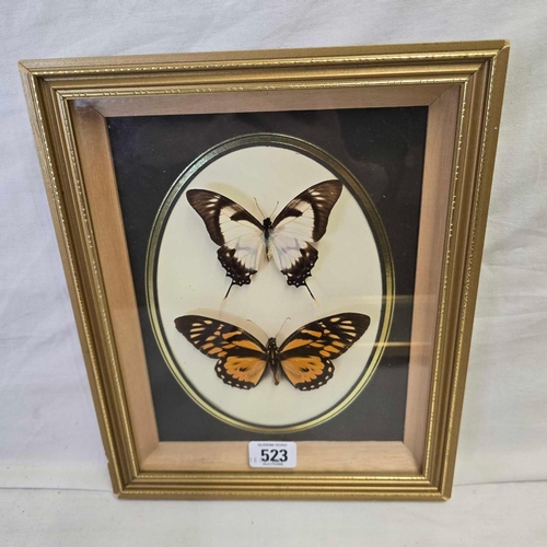 Lot 523       