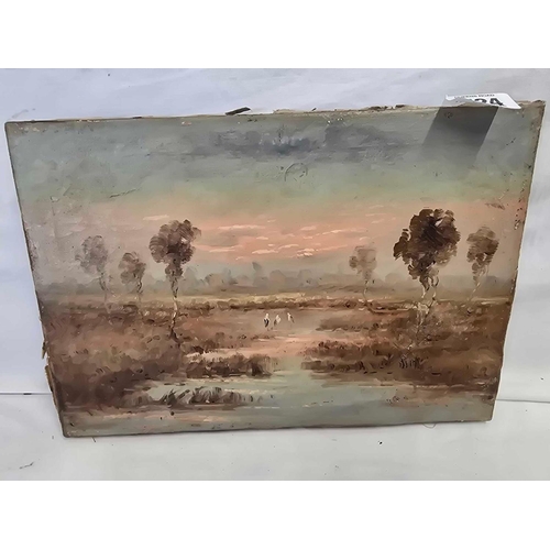 Lot 524       