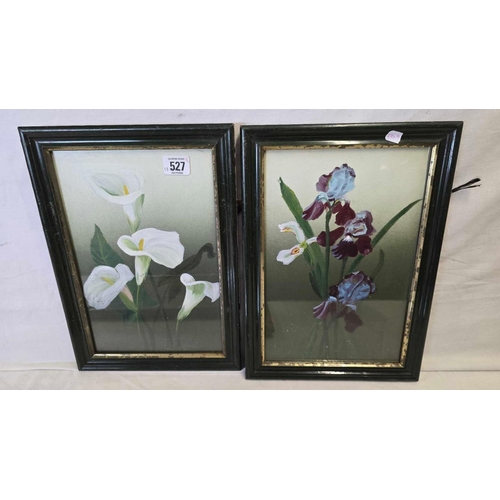 Lot 527       