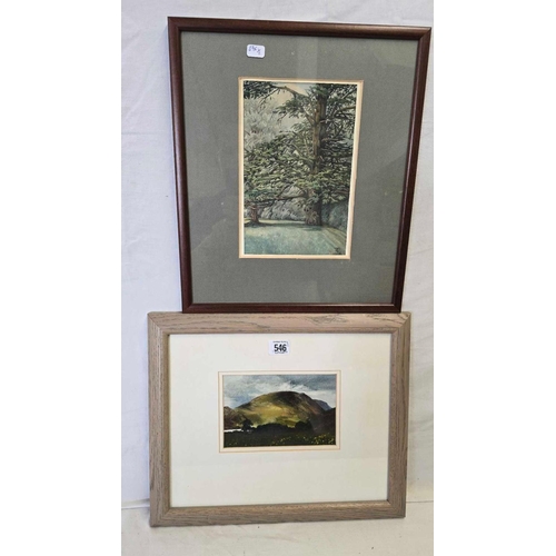 Lot 546       