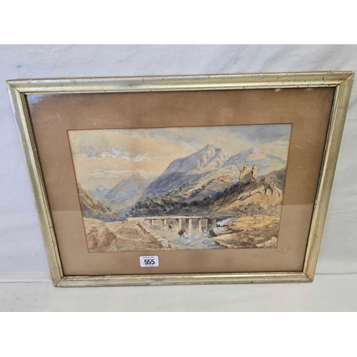 Lot 555       