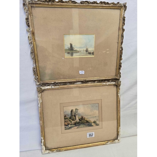 Lot 557       