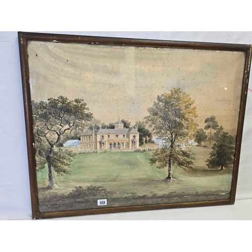 Lot 559       