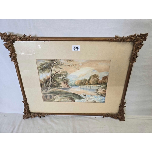 Lot 571       