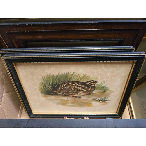 75 - CARTON WITH MISC F/G PICTURES OF COACHING SCENES, BIRDS, FLOWERS & EMPTY FRAMES WITH GLASS