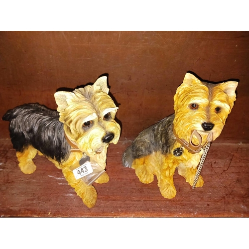 443 - 2 RESIN YORKSHIRE TERRIER FIGURES