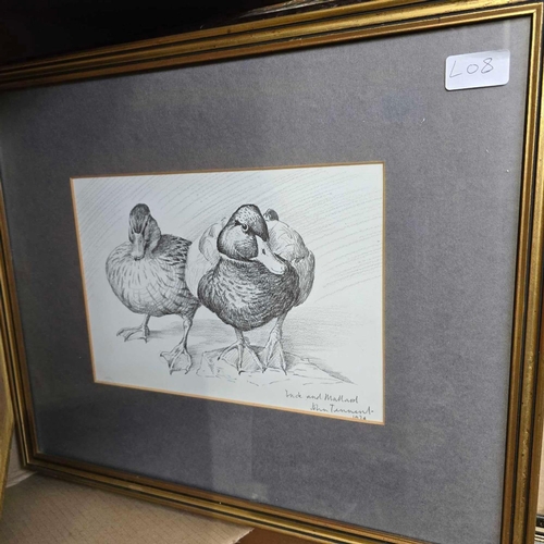 68 - CARTON OF F/G PICTURES INCL; COLOURED ENGRAVINGS,A PENCIL PICTURE OF A DUCK & MALLARD BY JOHN TENANT... 