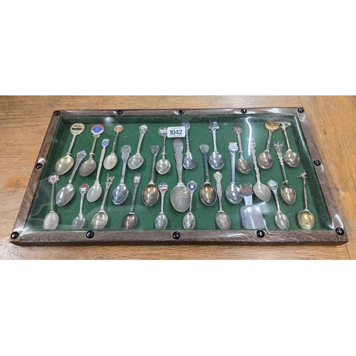 1042 - FRAME OF SOUVENIR COLLECTOR SPOONS INCL; FLORIDA & SEATON