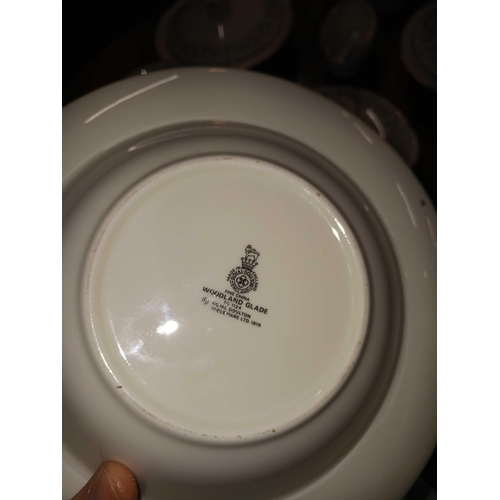 301 - ROYAL DOULTON WOODLAND GLADE TEA DINNERWARE