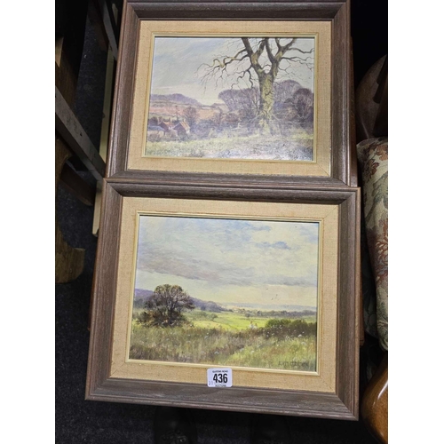 436 - PAIR OF ALWYN CRAWSH PAINTINGS, 1 OF THE OLD ELM TREE & THE OTHER AN EVENING CALM