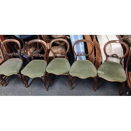 499 - 5 BALLOON BACK DINING CHAIRS & A RAFFIA SEATED DINING CHAIR