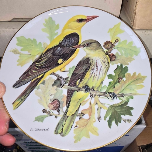 59 - 8 WORLD WILDLIFE FUND COLLECTORS PLATES, EUROPEAN SONG BIRDS BY URSULA BAND