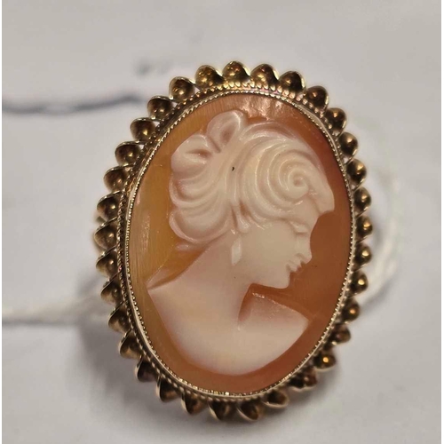 895 - A LARGE CARVED CAMEO RING SET IN 9ct GOLD, SIZE 'Q', 5.2g