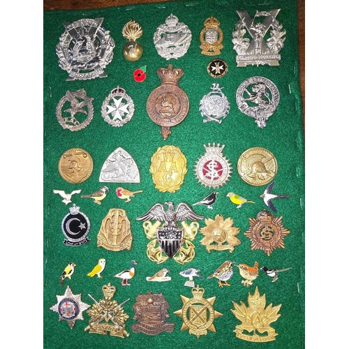 988 - PAD OF BRITISH ARMY & COMMONWEALTH CAP BADGES MAINLY RE-STRIKES INCL; CANADIAN BADGES