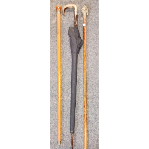 285 - BLACK UMBRELLA WITH SILVER FUREL & 2 WALKING STICKS, 1 WITH BRASS HEAD