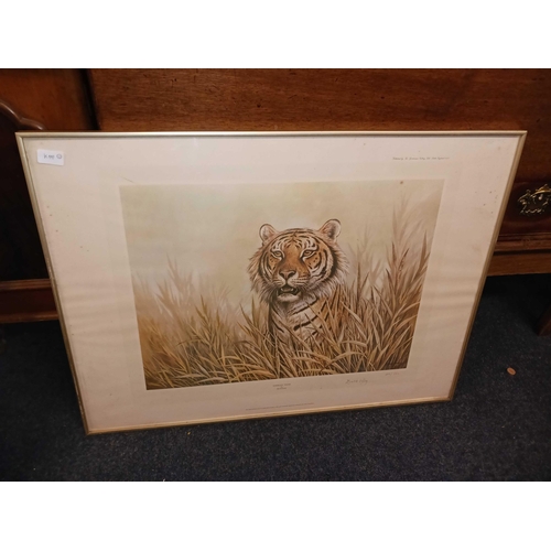 471 - 2 DAVID PERRY LIMITED EDITION CHEATER & TIGER PRINTS FRAMED