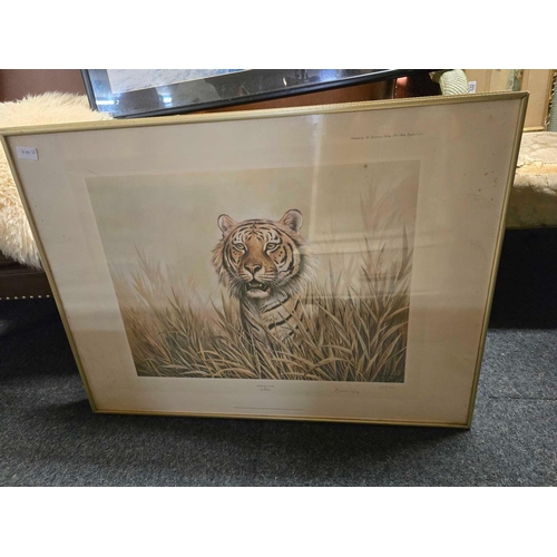 582 - 2 DAVID PERRY LIMITED EDITION CHEATER & TIGER PRINTS FRAMED, A FRAMED LARGE CALIFORNIA PHOTO OF THE ... 