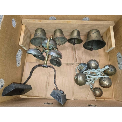 Lot 20        