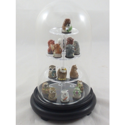 62 - A Collection of 15 Friends of the Forest Thimbles complete with Dome Display Case