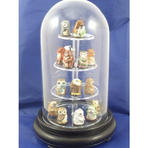 62 - A Collection of 15 Friends of the Forest Thimbles complete with Dome Display Case