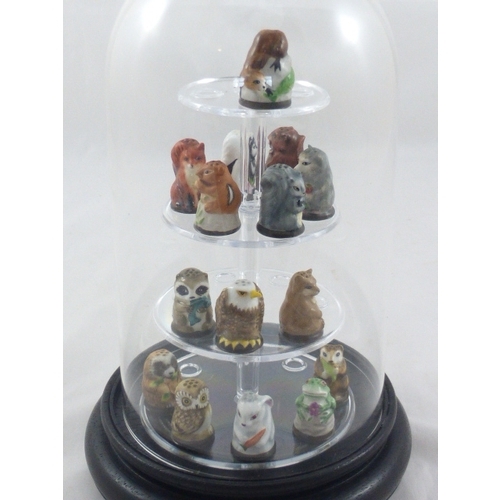 62 - A Collection of 15 Friends of the Forest Thimbles complete with Dome Display Case