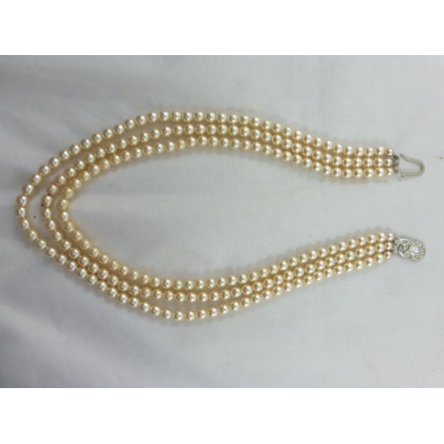 76 - Set of Lotus Simulated Pearls in Presentation Box