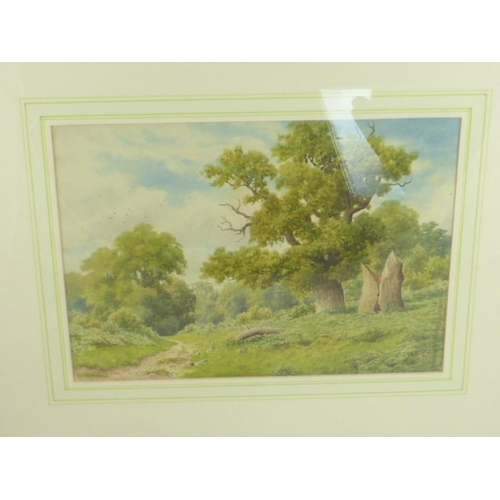 19 - A H Johnson (Ex.1909-1928) 'A bit of old Sherwood' watercolour, signed with initials and dated 1924,... 