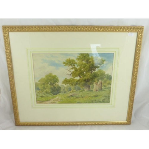 19 - A H Johnson (Ex.1909-1928) 'A bit of old Sherwood' watercolour, signed with initials and dated 1924,... 