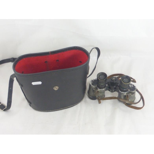 169 - Pair of vintage Binoculars in case