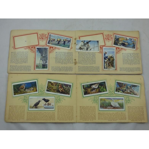 201 - Two Cigarette Card Albums, featuring the Full set of Birds and Their Young and Life in The Royal Nav... 