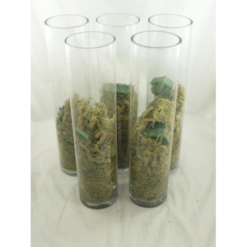 529 - Five Long Stemmed Glass Vases with Foliage complete with Original Boxes (50cm)