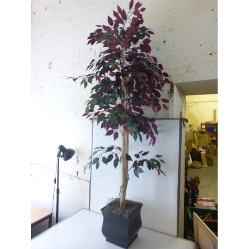 552 - Artificial Weeping Fig in Lead effect Planter (Approx 6ft)