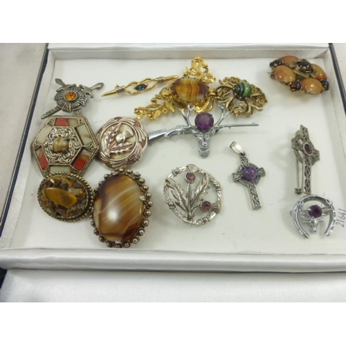 85 - Collection of Scottish Brooches and other