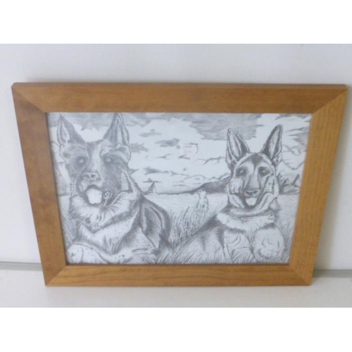 56 - Print depicting two sketched German Shepherds