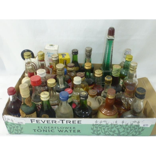 113 - Large Collection of Miniatures Including Bells Whiskey, Famous Grouse, Pernod, Johnnie Walker and Lo... 