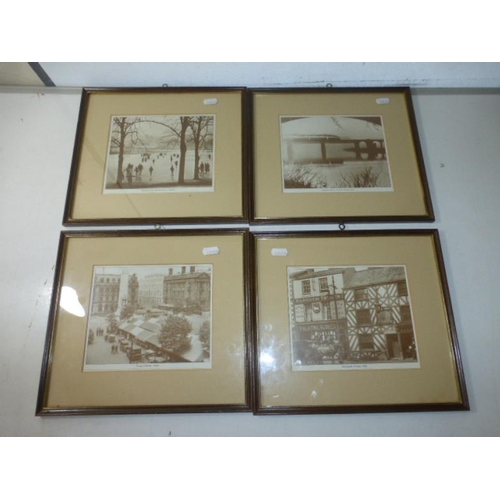 Lot 264       