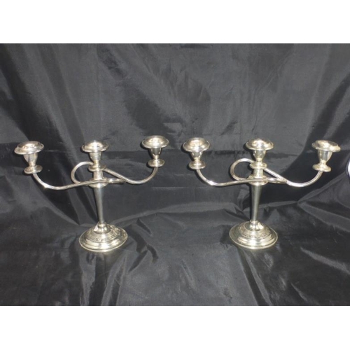 Lot 271       